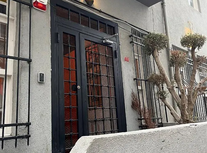 Cinar 伊斯坦布尔