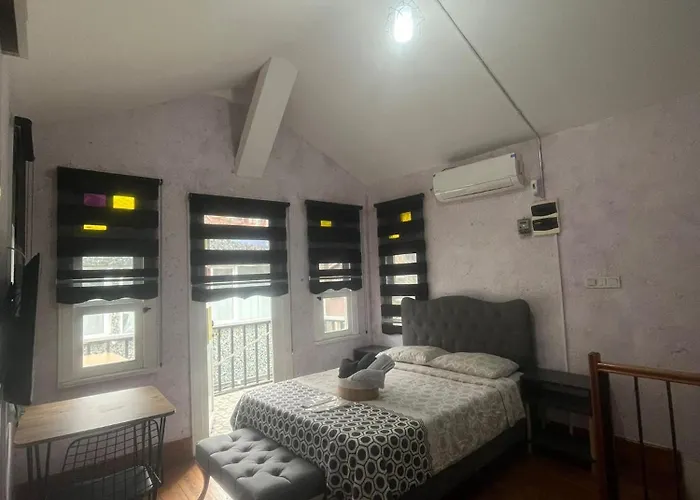 Cinar * 伊斯坦布尔